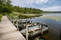 Ruderboote Kolkven Oisterwijk