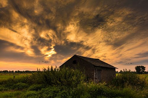 Eenzame schuur