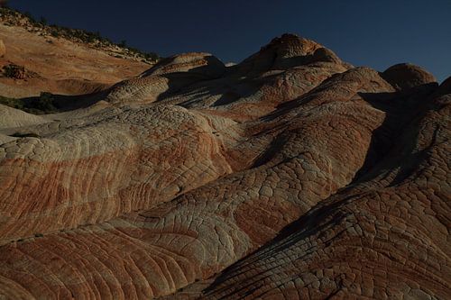 Yant Flat - Candy Cliffs - Cottonwood Forest Wilderness Utah USA