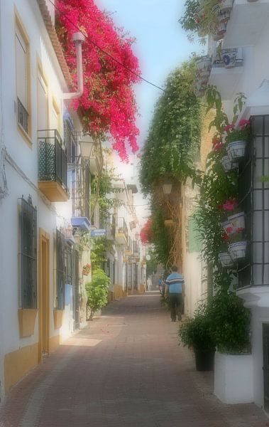 Marbella Andalusien par hako photo