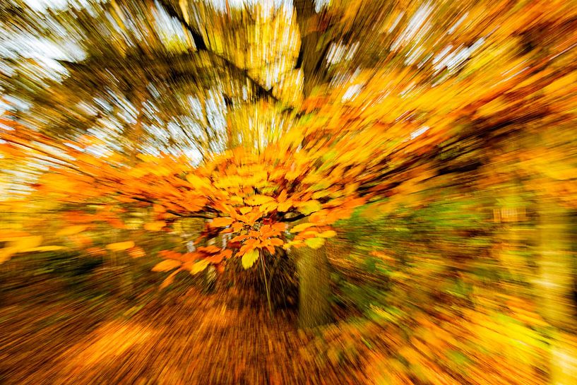 Autumn leaves (ICM photo) by Fotografie Jeronimo