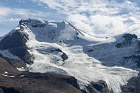 Mount Athabasca