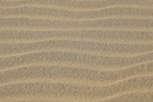 Sandy beach - background