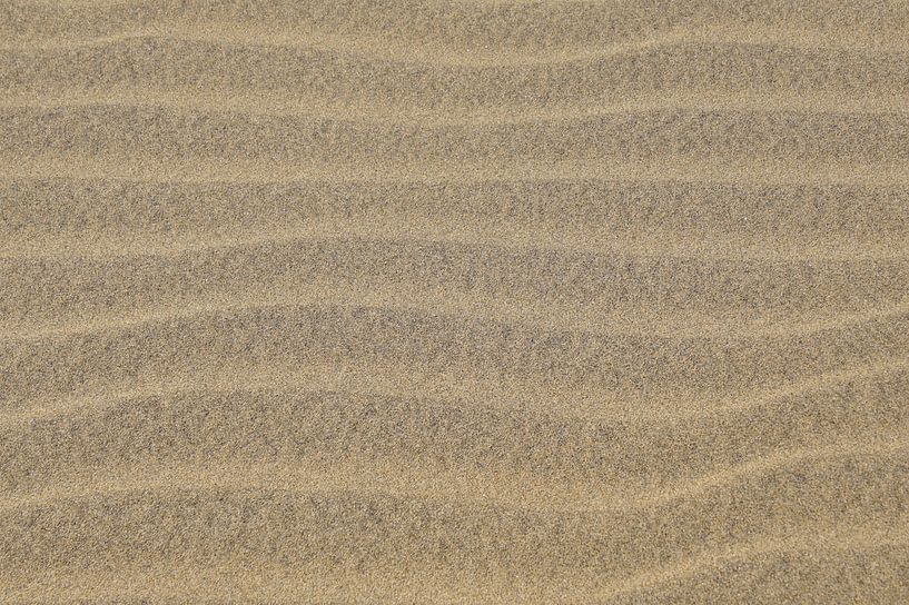 Sandy beach - background by Jarretera Photos