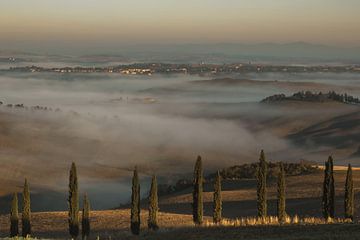 Prachtig Toscaans landschap in de herfst: rij mediterrane cipressen voor een dichte ochtendmist i van Besa Art