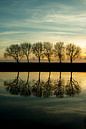 Spaarndammerdijk van Pieter Siemers thumbnail