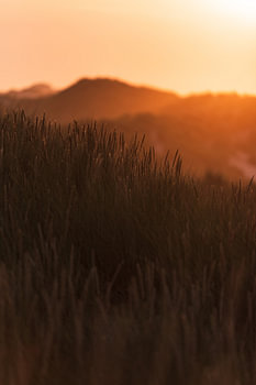 Sonnenuntergangs-Dünen Terschelling