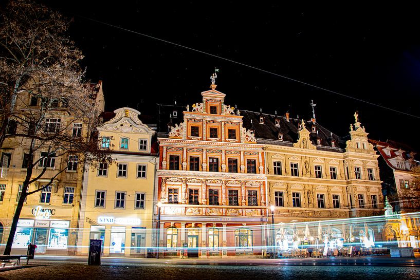 Vismarkt in Erfurt van David Krause