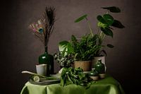 Stilleven in groen