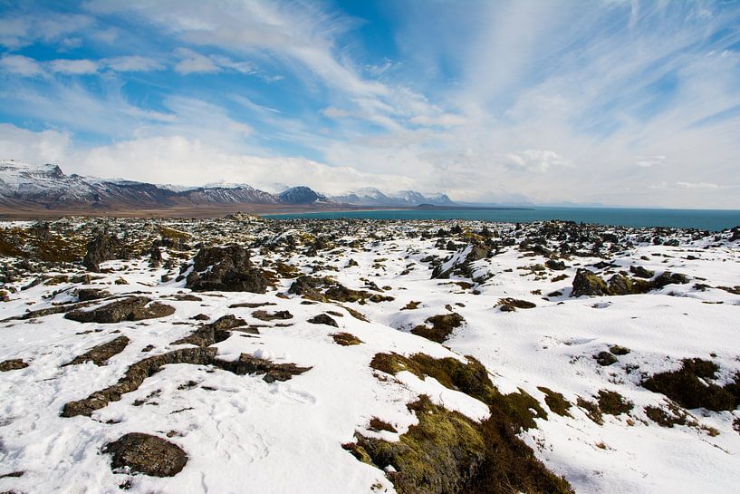 Sneeuwlandschap in IJsland van Lifelicious