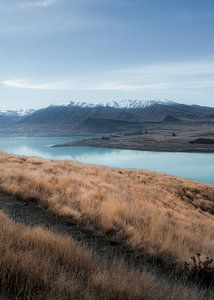 New Zealand Landscape by fromkevin