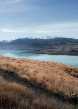 New Zealand Landscape by fromkevin