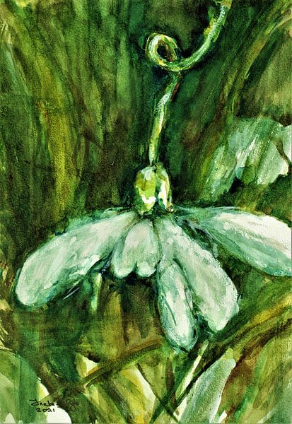 Still life of a snowdrop. Watercolour hand-painted. by Ineke de Rijk