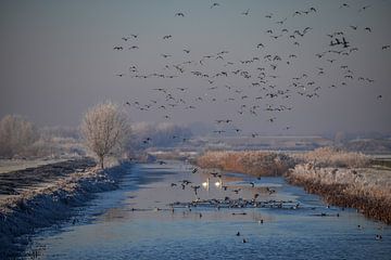 Schöne holländische Winterlandschaft ! von Henk v Hoek