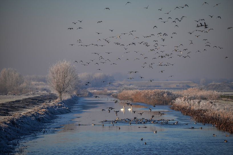 Prachtig hollands winterlandschap ! van Henk v Hoek