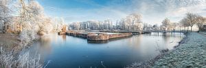 Winterse slotgracht panorama