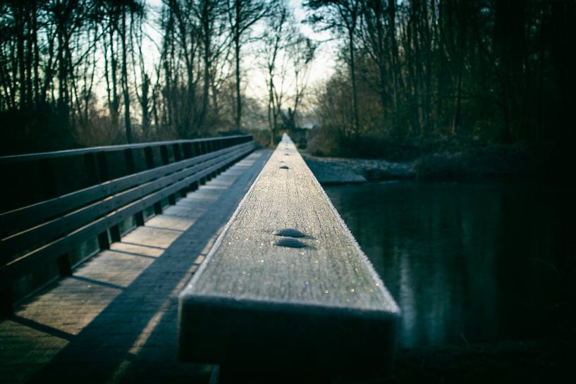 De brug naar de toekomst par Voyant One