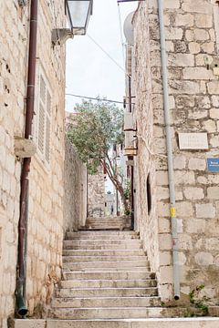 The heart of Old Town Dubrovnik by Amy Hengst