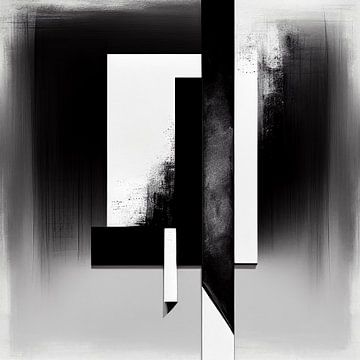 Abstract zwart/wit van Bert Nijholt
