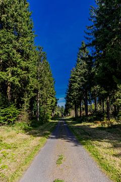Onderweg in het Nationaal Park Rhön van Oliver Hlavaty