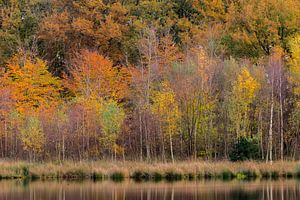 Autumn by Richard Gilissen