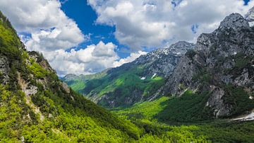 Logarvallei in de Kamnik Savinja Alpen in Slovenië