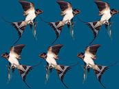 6 vogels van Fela de Wit thumbnail