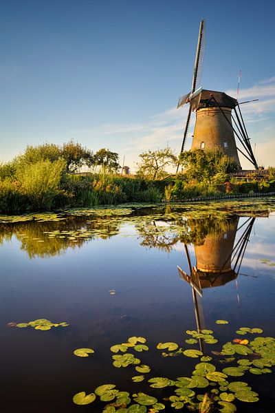De windmolen van Rolf Schnepp