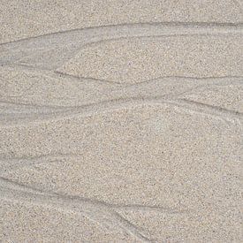 Sporen in het zand van Charley Aimée