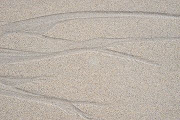 Traces in the sand by Charley Aimée