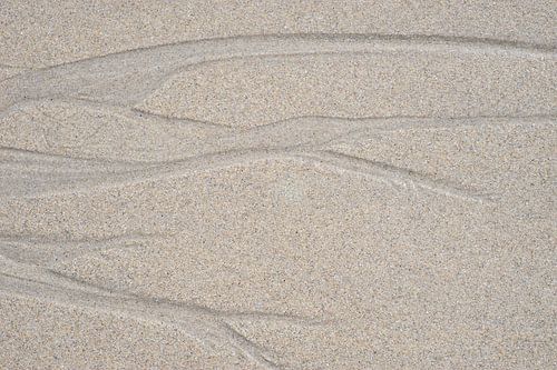 Traces dans le sable