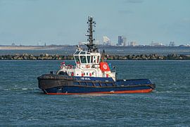 Sleepboot VB Seal. van Jaap van den Berg