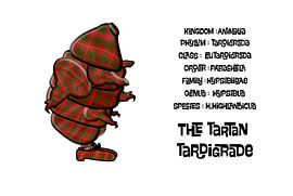 The Tartan Tardigrade by Grüntyers .