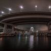 Rainbow Bridge Cirkel Tokio van Mario Calma