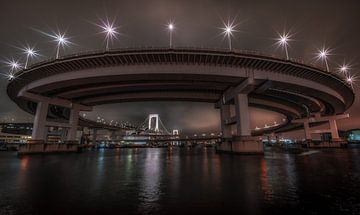 Rainbow Bridge Cirkel Tokio van Mario Calma
