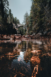 Schwedische Natur – Zentrierter vertikaler Fotodruck der steinernen Bogenbrücke in den Wäldern bei Brattfallet von Dylan Winter Visuals