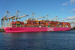 Das Containerschiff ONE Tribute.