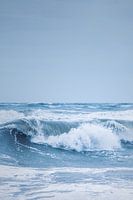 Big wave on the North Sea coast