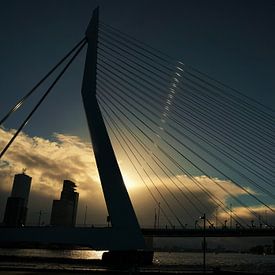 Erasmusbrug Rotterdam van Erik Slagboom