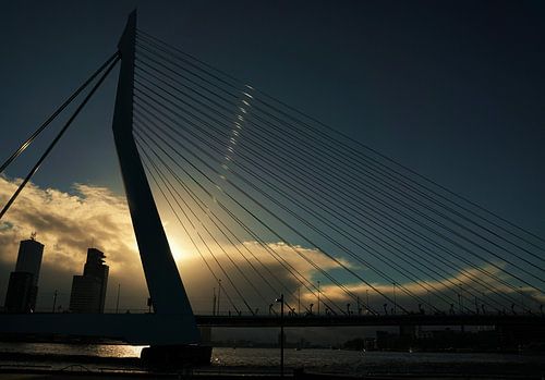 Erasmusbrug Rotterdam
