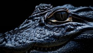 Alligator panorama portrait by The Xclusive Art