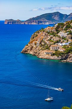 Idyllisch zeezicht aan de kust van het eiland Mallorca, aan de mooie kust van Port de Andratx, Spanj van Alex Winter