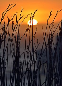een prachtige zonsondergang van Werner Lehmann