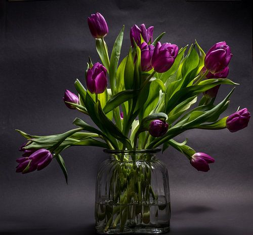 Tulpen