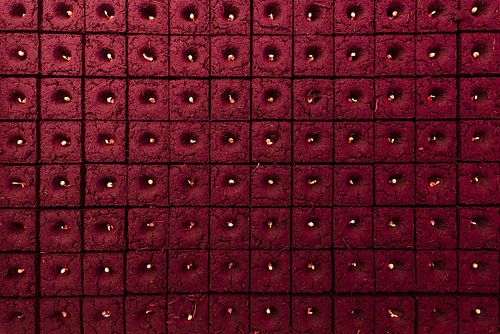 Vertikale Landwirtschaft