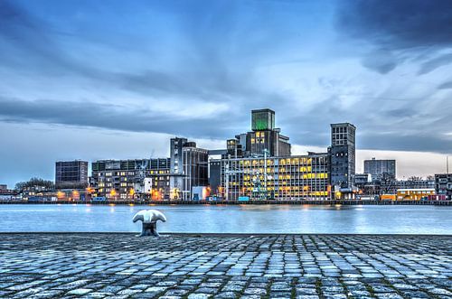 Grain silo and Rhine Harbour Quay