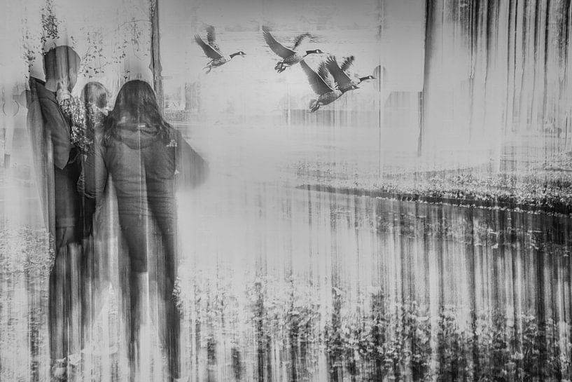 Aufmerksamkeit für die Natur von Peter Smeekens