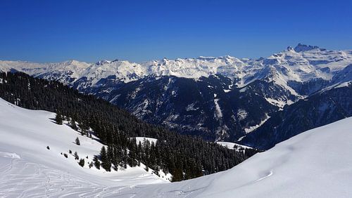 Braunwald En De Alpen
