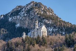 Das wunderschöne Schloss Neuschwanstein an einem schönen sonnigen Wintertag.