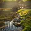 Romantische Szene mit japanischer Brücke von Yvonne Albe